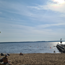 Attēla priekšpusē ir smilšaina pludmale, kreisajā malā sēž cilvēks, tālāk ir ūdens, labajā pusē ir lapa, tā iestiepjas ūdenī. Spīd saule