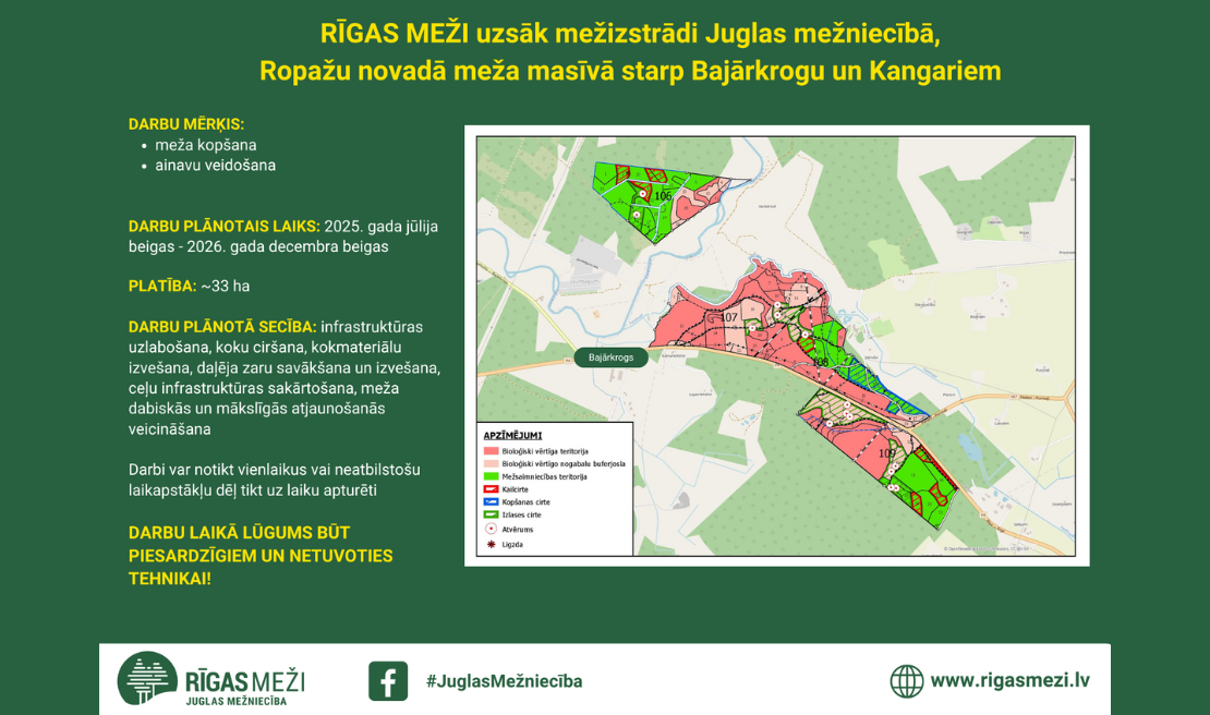 apraksts par mežizstrādi