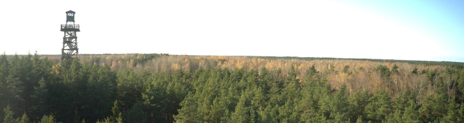 Attēlā ir no drona uzņemts jaukta tipa mežs rudenī. Kreisajā pusē ir skatu tornis