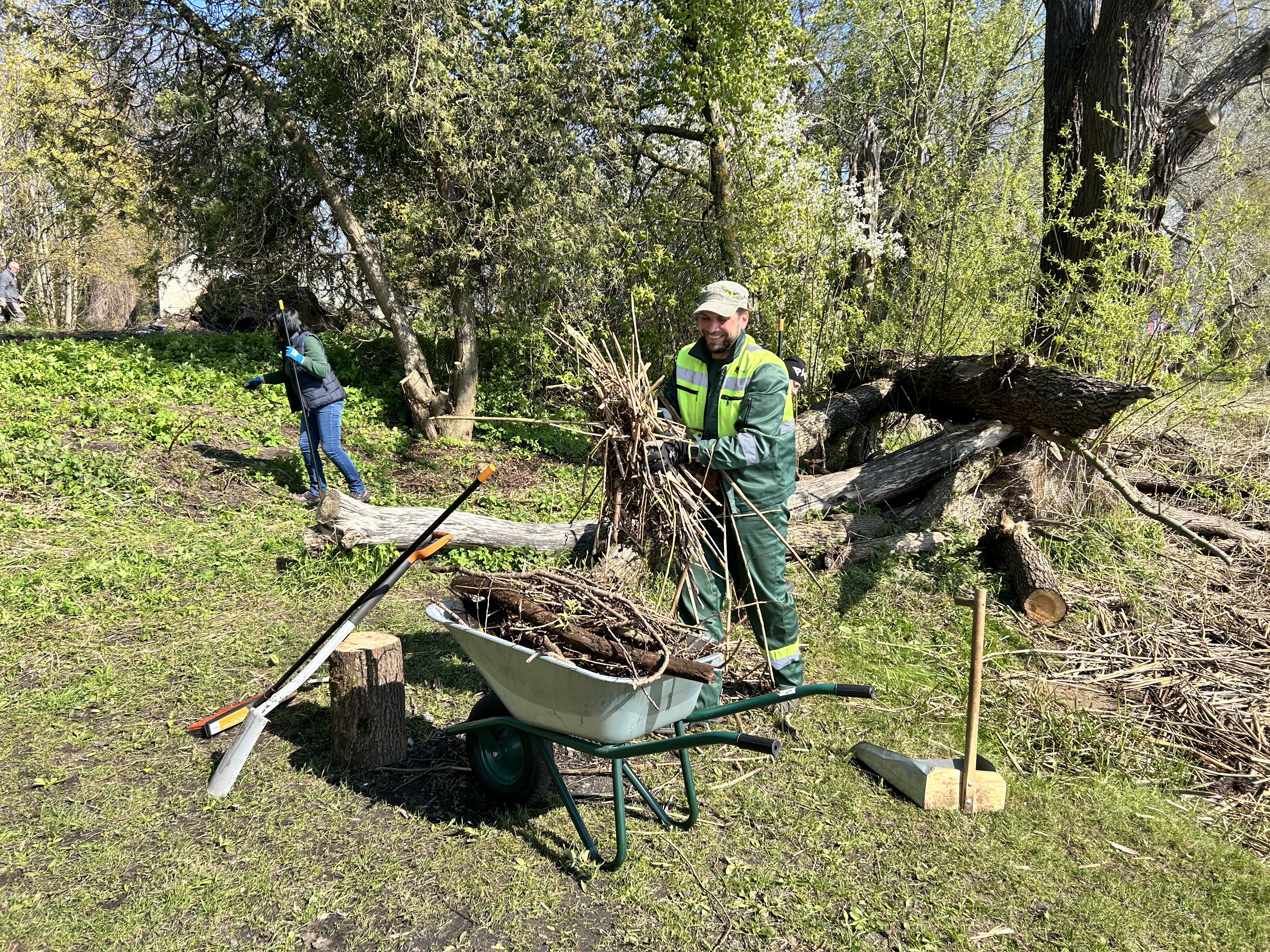 Priekšplānā ķerra piekrauta ar veciem zariem un koka gabaliem. Blakus smaidīgs vīrietis un fonā sieviete grābj zāli