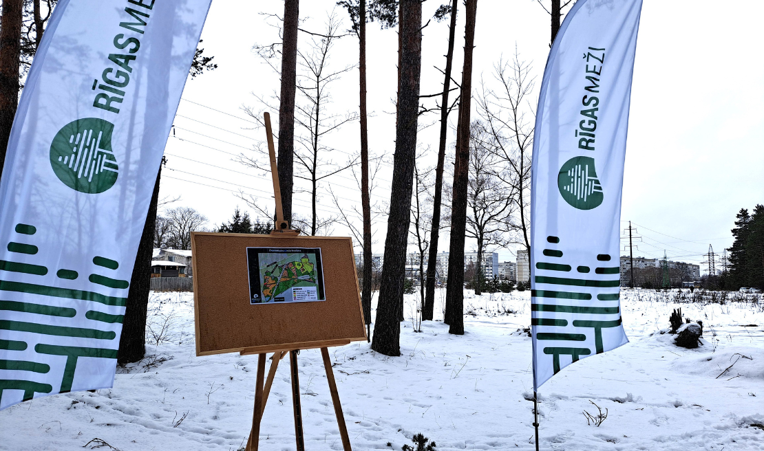 Attēlā ir divi Rīgas mežu karogi, tiem pa vidu ir plakāts ar informāciju par Ziepiniekkalna meža kopšanu. Fonā redzami daži koki, tālāk ir dzīvojamās mājas. Foto uzņemts mežmalā. Zemi klāj sniegs